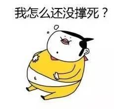 倔强式单身娱乐吃瓜酱